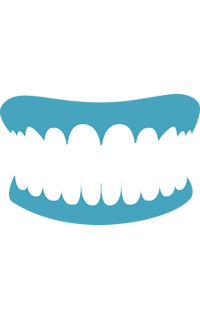 3-1-adult-teeth-left-tooth-truth-icon-03.png